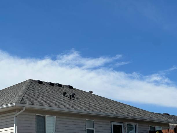 Best Metal Roofing Installation  in North Beach, MD